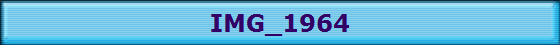 IMG_1964