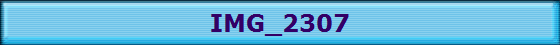 IMG_2307