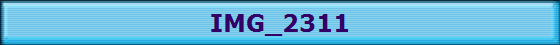 IMG_2311