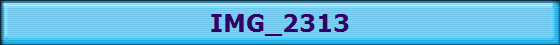 IMG_2313