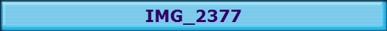 IMG_2377