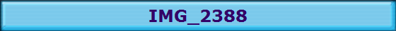 IMG_2388