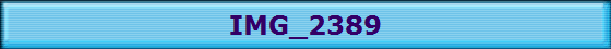 IMG_2389