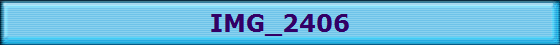 IMG_2406