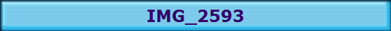 IMG_2593