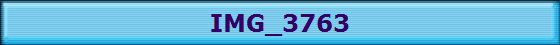 IMG_3763