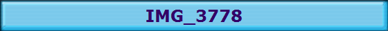 IMG_3778