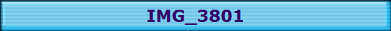 IMG_3801
