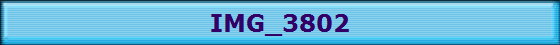 IMG_3802