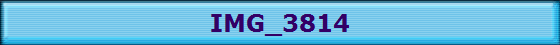 IMG_3814