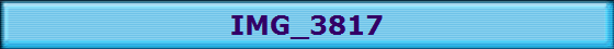 IMG_3817