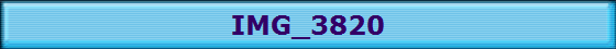 IMG_3820