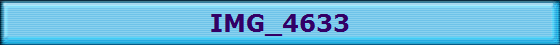 IMG_4633