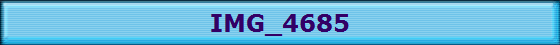 IMG_4685