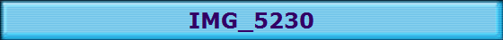 IMG_5230