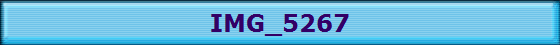 IMG_5267