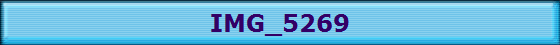 IMG_5269